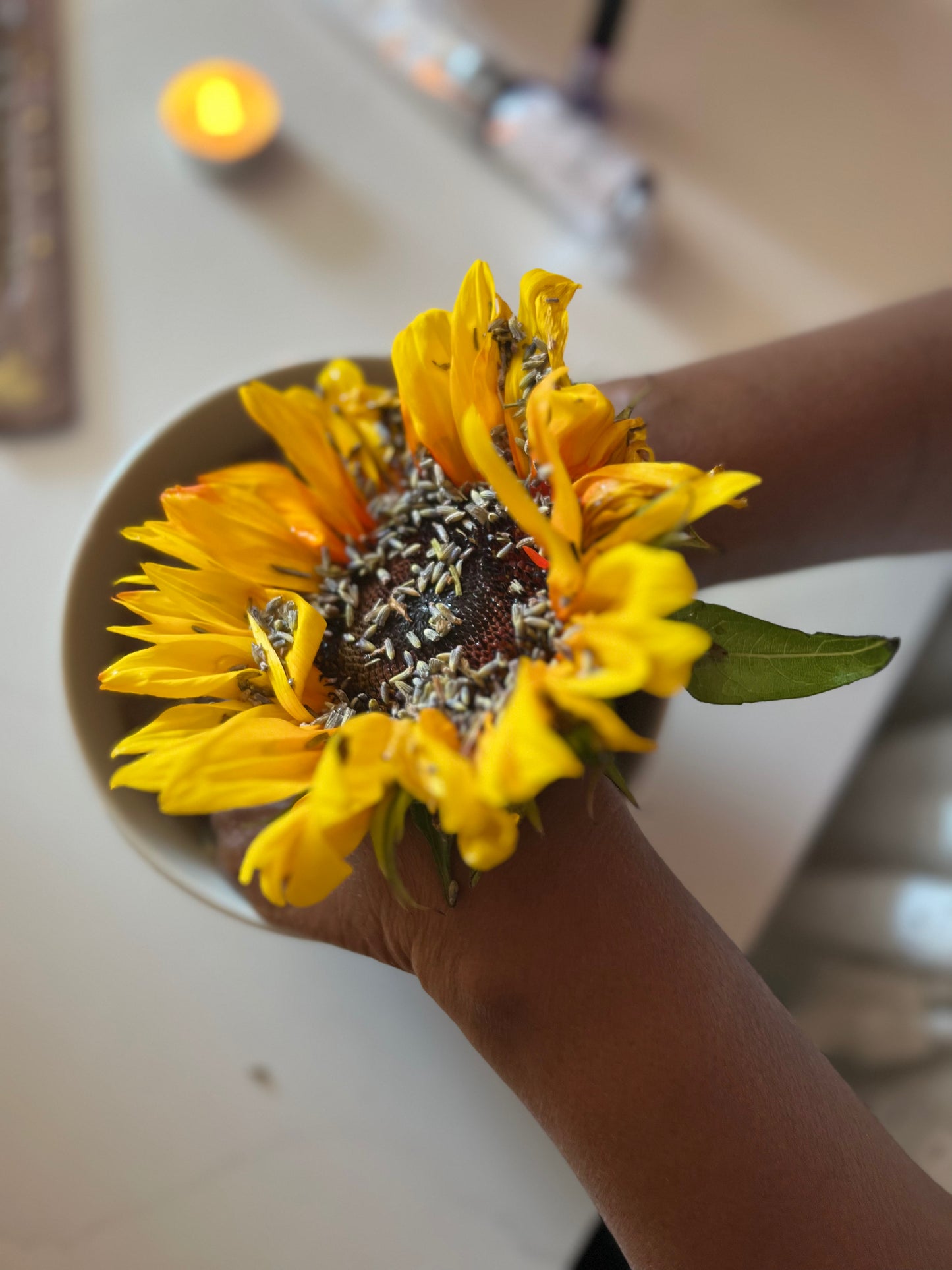 Two (2) Day In-Person Spiritual Unbinding + Rebirthing Ceremony